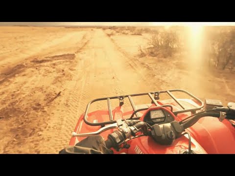 Desert and Palm Grove Quad Bike Tour from Marrakech, Morocco