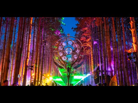 Rekindle The Sherwood Spirit - A Look Back On Electric Forest 2022 ⚡️🌲 #EF2022