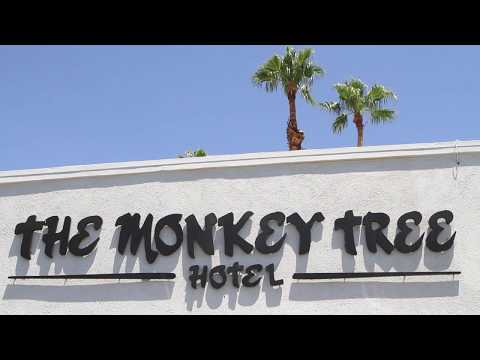 The Monkey Tree Hotel Video Tour