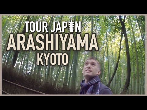 Kyoto&#039;s Bamboo Forest &amp; More: Guide to the Arashiyama District
