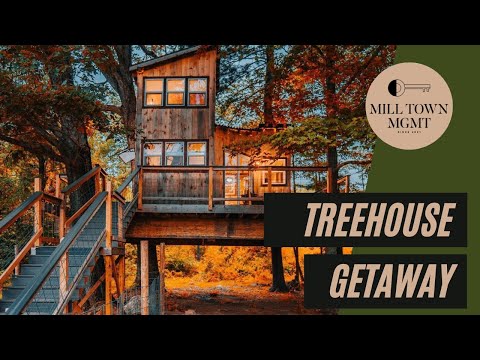 Treehouse on Animal Farm w/ Bonfire &amp; Gazebo