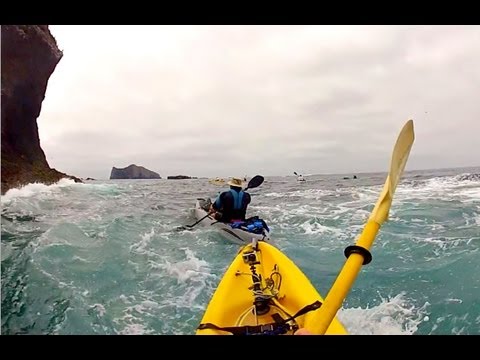 Santa Barbara Island: Kayaking, Camping, Snorkeling, Hiking and Sea Lions