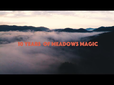 Ten years of Meadows In The Mountains - short documentary