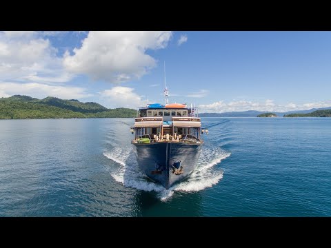 MV Ambai Liveaboard | Wallacea Dive Cruise