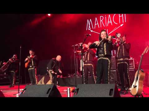 Mariachi El Bronx @ Elm Street Tattoo Festival 11/13/2015