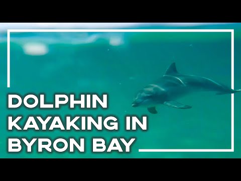 Ocean Kayaking With Dolphins In Byron Bay, Australia (GoPro Edit) 🐬