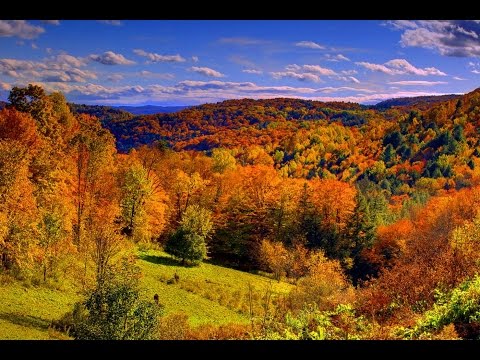 Top 14 Tourist Attractions in Burlington - Travel Vermont