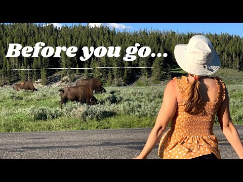 WHAT NO ONE TELLS YOU ABOUT YELLOWSTONE NATIONAL PARK