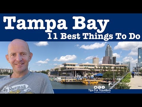 11 Best Things to Do in Tampa Florida