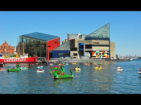 10 Best Tourist Attractions In Baltimore