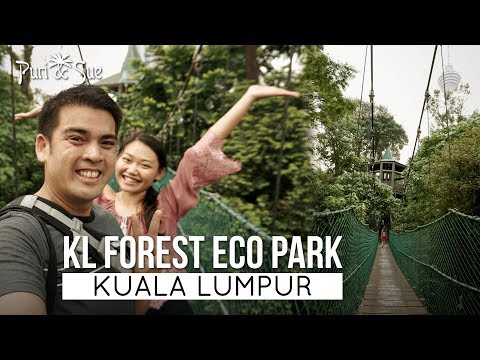 KL Forest Eco Park | Things to do in Kuala lumpur | Travel Malaysia