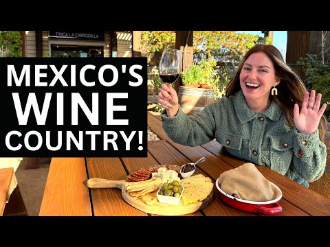 Exploring The Napa Valley of Mexico! (Valle de Guadalupe, Baja California)