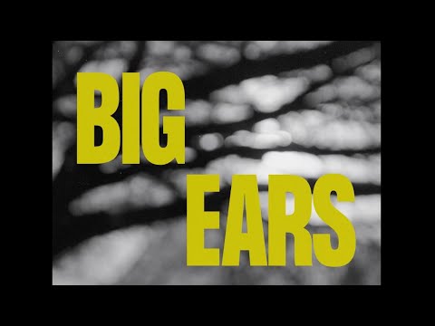 Highlights from Big Ears 2023