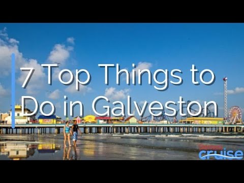 7 Top Things to Do in Galveston
