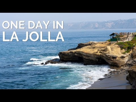 La Jolla: One Day Exploring the Coastal Town&#039;s Best Spots