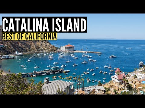 Things To Do in CATALINA ISLAND California (Travel Guide &amp; Vlog)