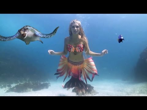 Official 2016 After Movie: Shipsomnia - The Search for Lost Rhythms