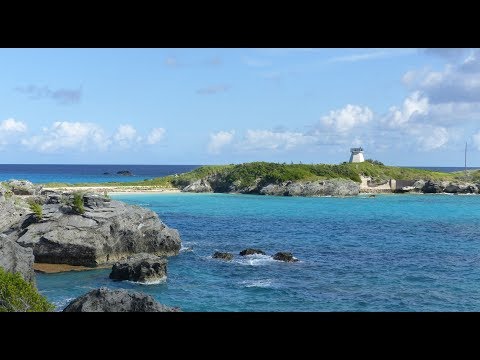 COOPER&#039;S ISLAND NATURE RESERVE - ST. DAVID&#039;S ISLAND - ST. GEORGE&#039;S PARISH - BERMUDA