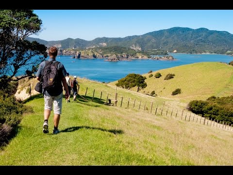 Must Do New Zealand - The Bay of Islands
