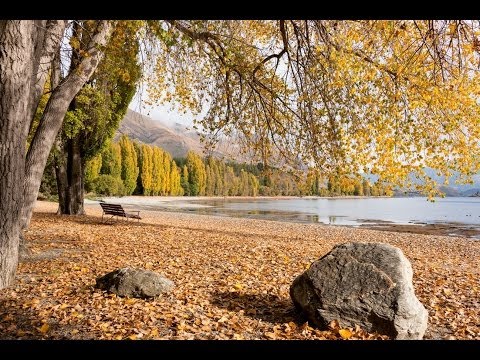 Wanaka things to do, tours and attractions - Must Do New Zealand