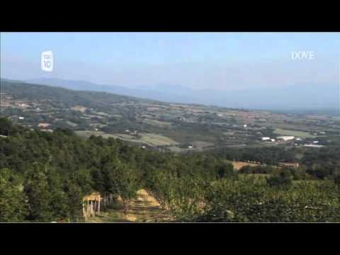 Villa Scacciapensieri su DOVE tv