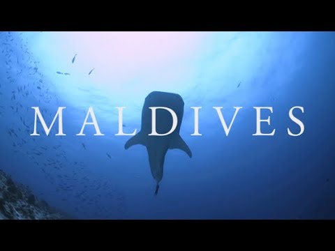 Introducing the New Maldives Aggressor II