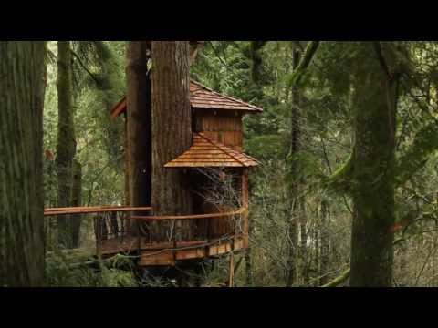TreeHouse Point | a Wanderfoot Adventure in the Pacific Northwest