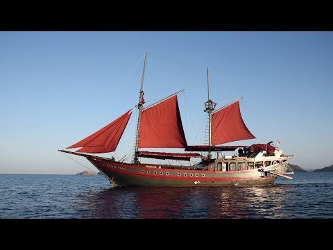 Komodo aboard the Manta Mae, October 2017