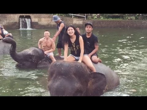 In Bali Breakfast &amp; Bathe With The Elephants - Up Close &amp; Personal!