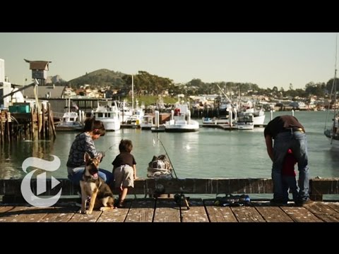 What to Do in San Luis Obispo, California | 36 Hours Travel Videos | The New York Times