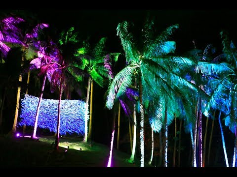 Malasimbo Festival 2017 Official After Video