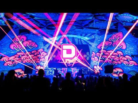 Dimension Festival 2020 - Official After Movie