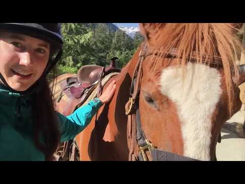 Clayoquot Wilderness Resort - Glamping on the West Coast for Summer Solstice!