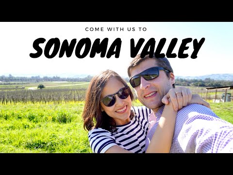 Sonoma Valley Wineries Tour | Best Wineries &amp; Itinerary | California VLOG