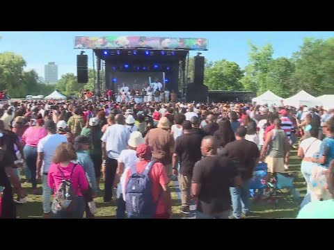 Chosen Few Picnic and Festival hits Jackson Park
