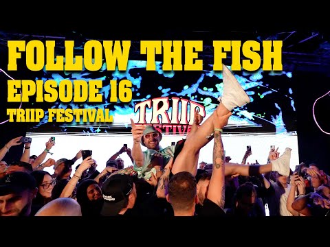 TRIIP FESTIVAL !!! FOLLOW THE FISH TV EP. 16