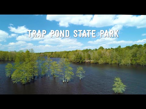 Trap Pond State Park