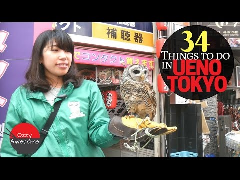 34 Things To Do In UENO TOKYO! (Most are Cheap or Free!)