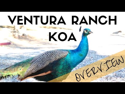 Ventura Ranch KOA Campground Overview - Santa Paula, California