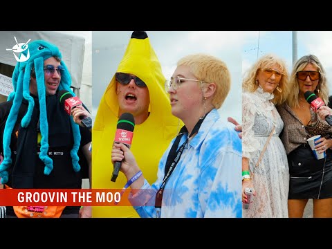 &#039;Here for the good vibes&#039; - triple j at Groovin The Moo 2022