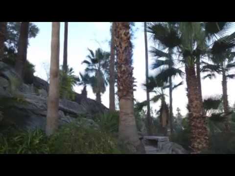 The Willows Historic Palm Springs Inn (Palm Springs, California)