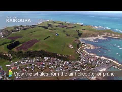 Things to do in Kaikoura - Must Do New Zealand