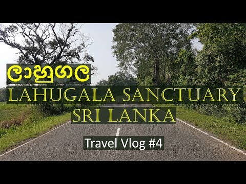 Road to Lahugala Sanctuary National Park in Sri Lanka - Travel Vlog #4 - LifeVlogSriLanka