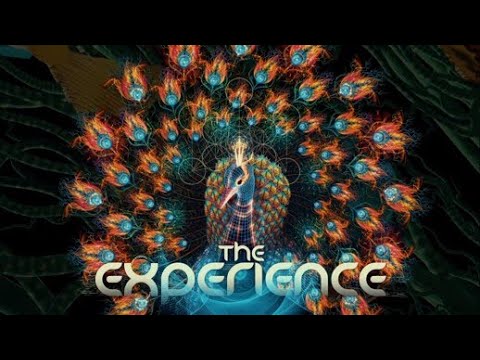 The Experience Festival 2018-19