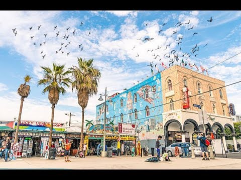13 THINGS TO DO AT VENICE BEACH // LOS ANGELES