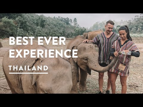 ELEPHANT SANCTUARY 2018 🐘 CHIANG MAI ELEPHANT JUNGLE SANCTUARY CAMP | Travel Vlog 119
