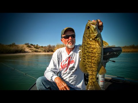 Lake Havasu Smallies - Lindner&#039;s Fishing Edge 2015 S1