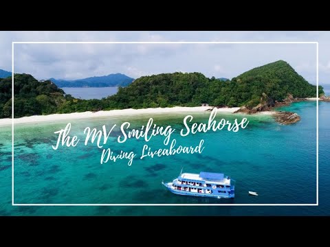 The Smiling Seahorse Liveaboard Boat