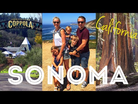 Sonoma County Adventures: Wine Tasting, Redwoods, Whale Watching, and Family Fun!