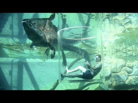 5 Things to Do in Darwin, NT, Australia